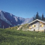 Berghut
